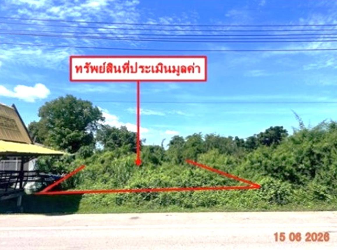 ที่ดินว่างเปล่า บางกระทุ่ม ปทุมธานี