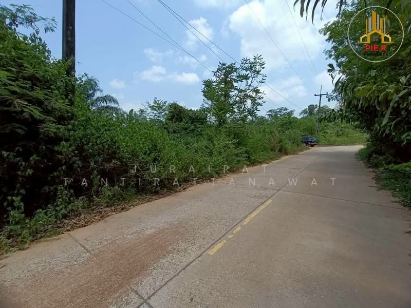 ที่ดิน41-369ไร่ อ.เมือง l ใกล้ถนนสุขุมวิท(เดินทางเชื่อมต่อไปตัวเมืองระยองสะดวก), Rayong