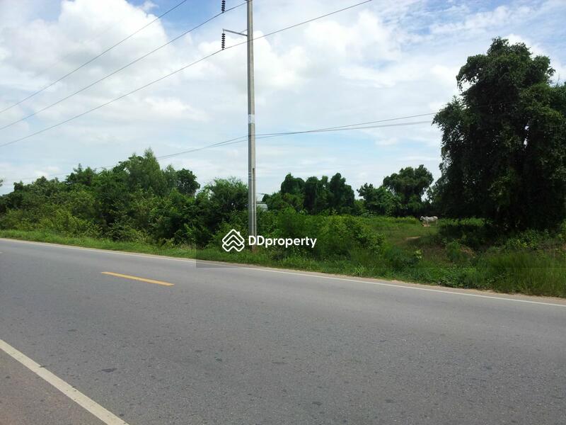 Land adjacent to the Borabue-Wapi Pathum Highway (2063), 100 m from PTT gas station., Maha Sarakham