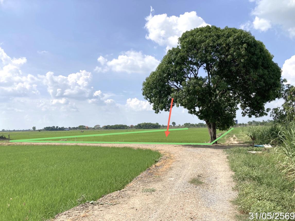 Empty land for sale in Ayothaya.