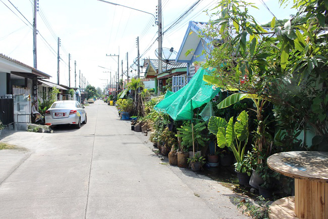 ทาวน์เฮ้าส์ โครงการธันยพฤกษ์ ธัญบุรี