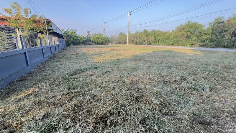 Land for sale in Sanam Chan, 190 square wah (approximately 760 square meters)., Chachoengsao