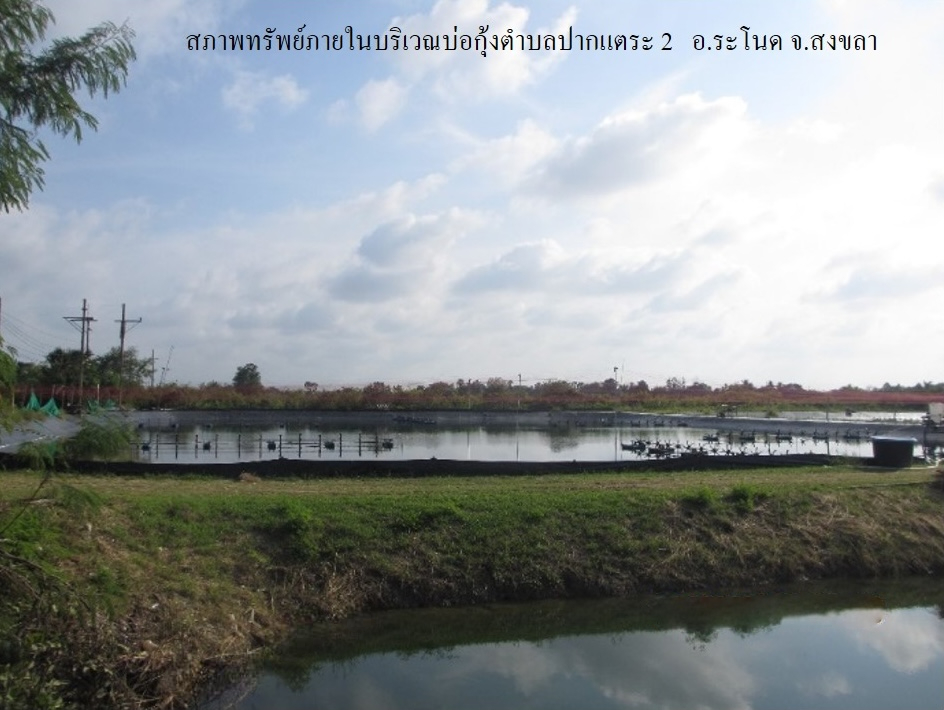 ที่ดินเปล่า โครงการกลุ่มเกษตรกรผู้เลี้ยงสัตว์น้ำ ปากแตระ สงขลา