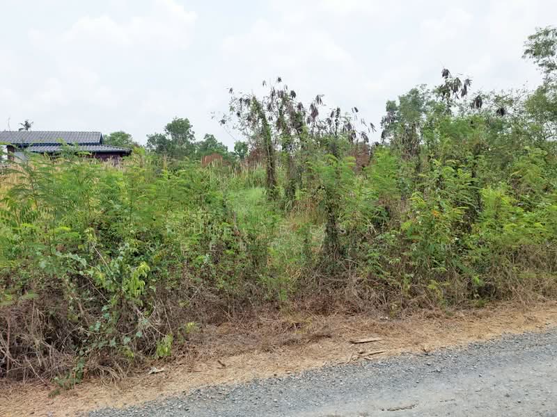 ที่ดินองครักษ์ นครนายก, Nakhon Nayok
