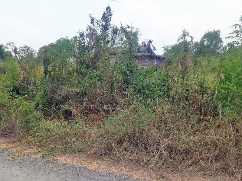 ที่ดินองครักษ์ นครนายก, Nakhon Nayok