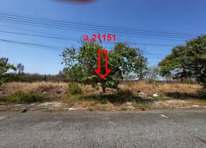 ที่ดินเปล่า บางปะกง จังหวัดฉะเชิงเทรา