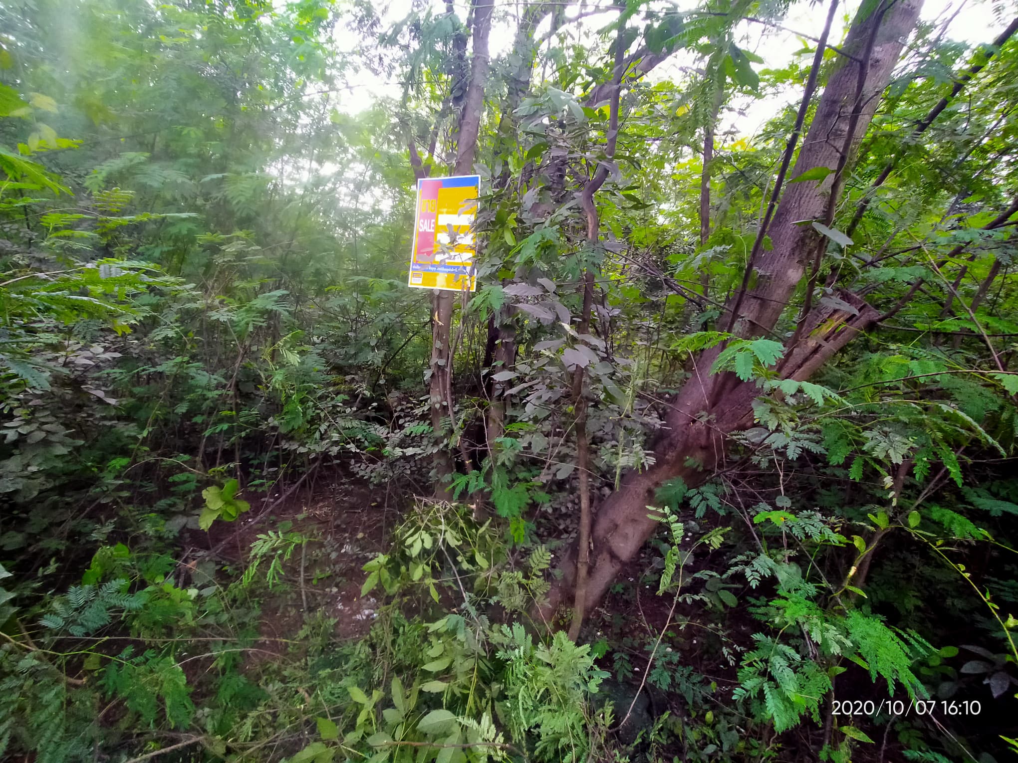 Land for sale in Khon Kaen