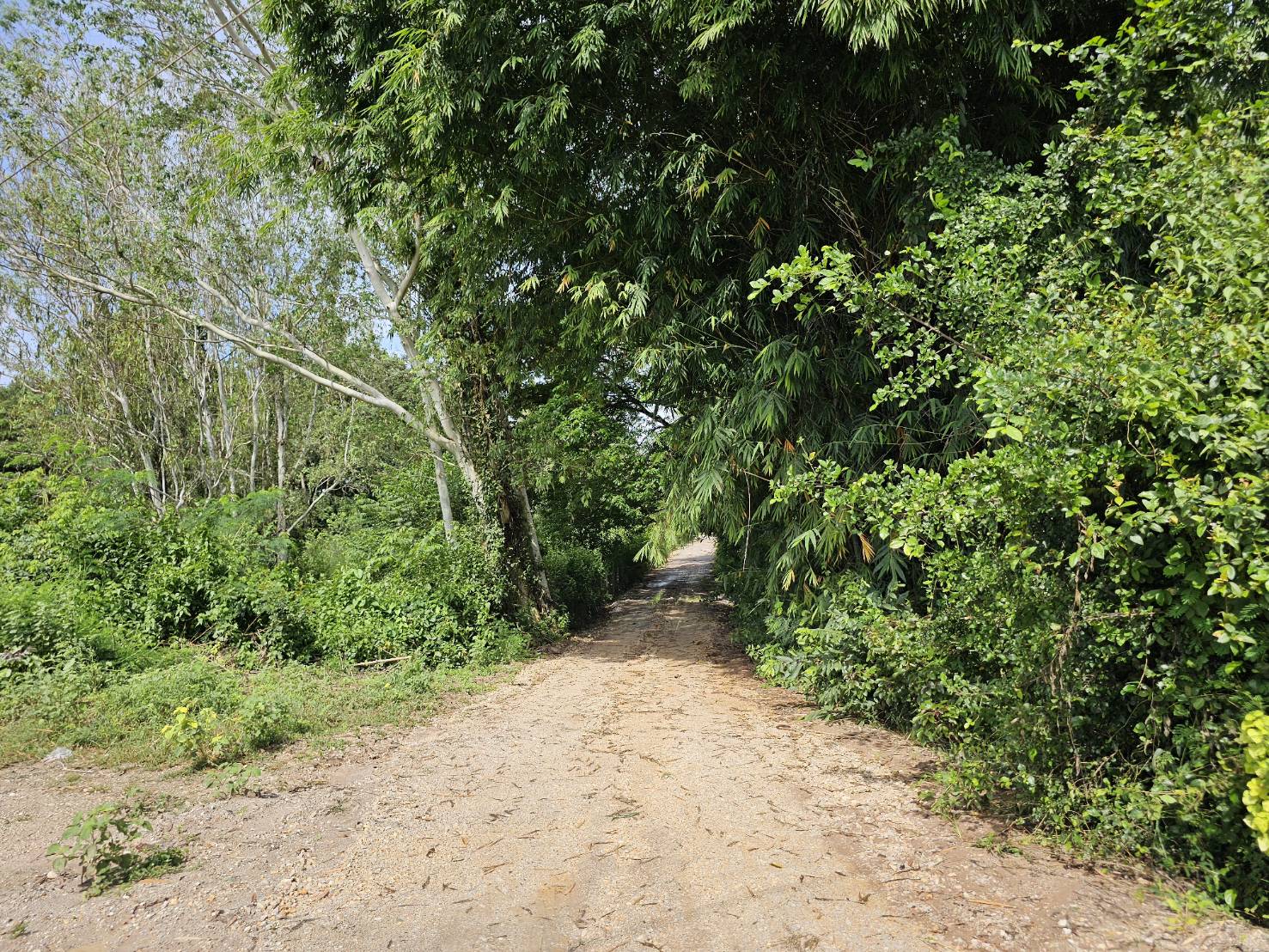 ที่ดินเปล่า ลำปาง