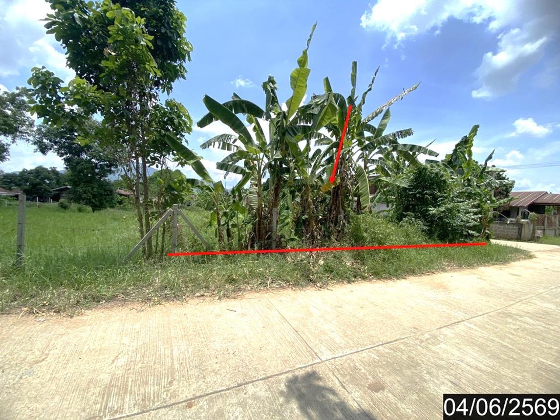 ที่ดินว่างเปล่า ท่าลี่ เลย