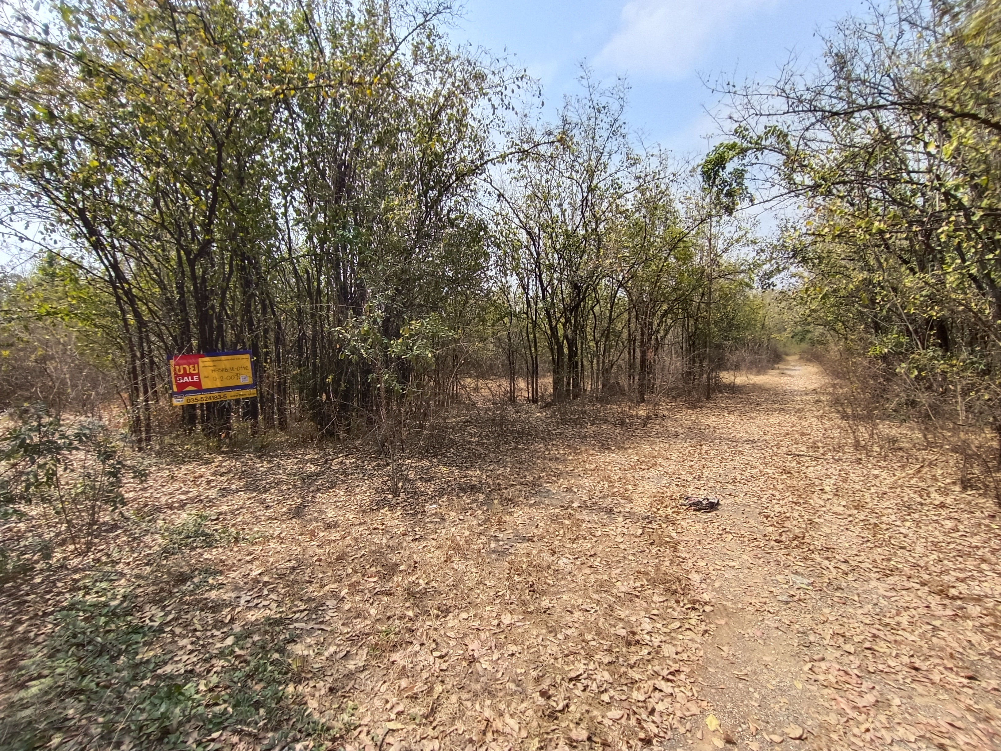 ที่ดินเปล่า โครงการอู่ทองสักทอง สุพรรณบุรี