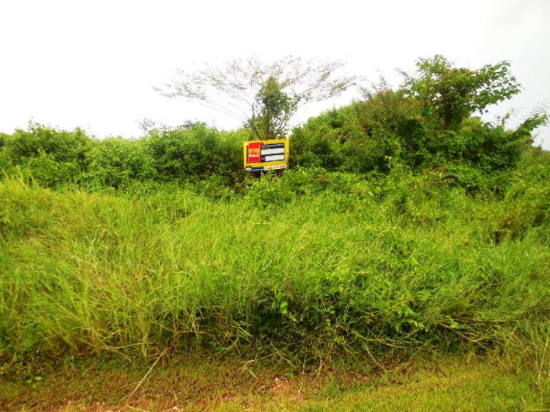 Empty land for sale at Dhep Ummaview (Chantita) Lampang project.