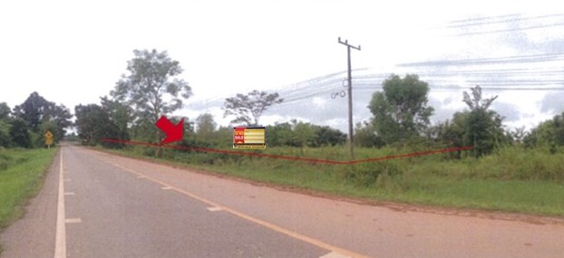 Vacant Land in Bueng Kan