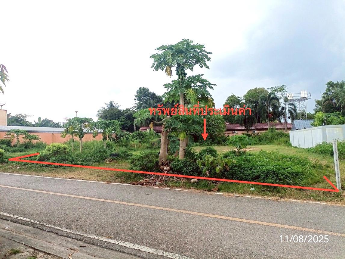 ที่ดินว่างเปล่า เมืองตรัง ตรัง