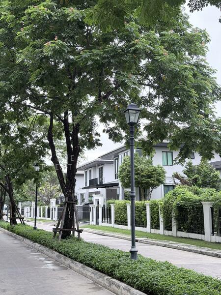 Setthasiri Pattanakarn, Bangkok