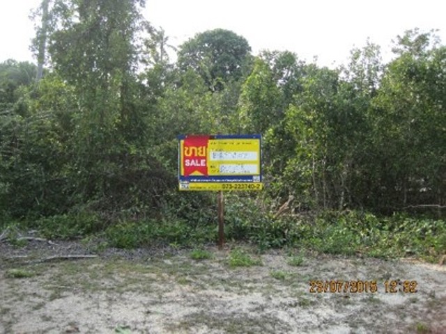 Empty Land in Narathiwat Province