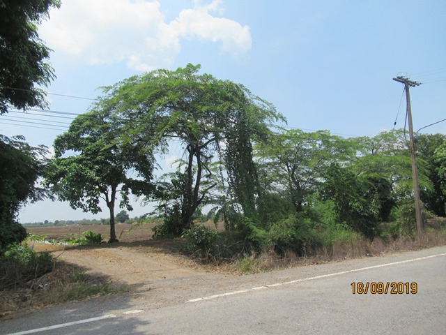 ที่ดินเปล่า หนองเสือ ปทุมธานี
