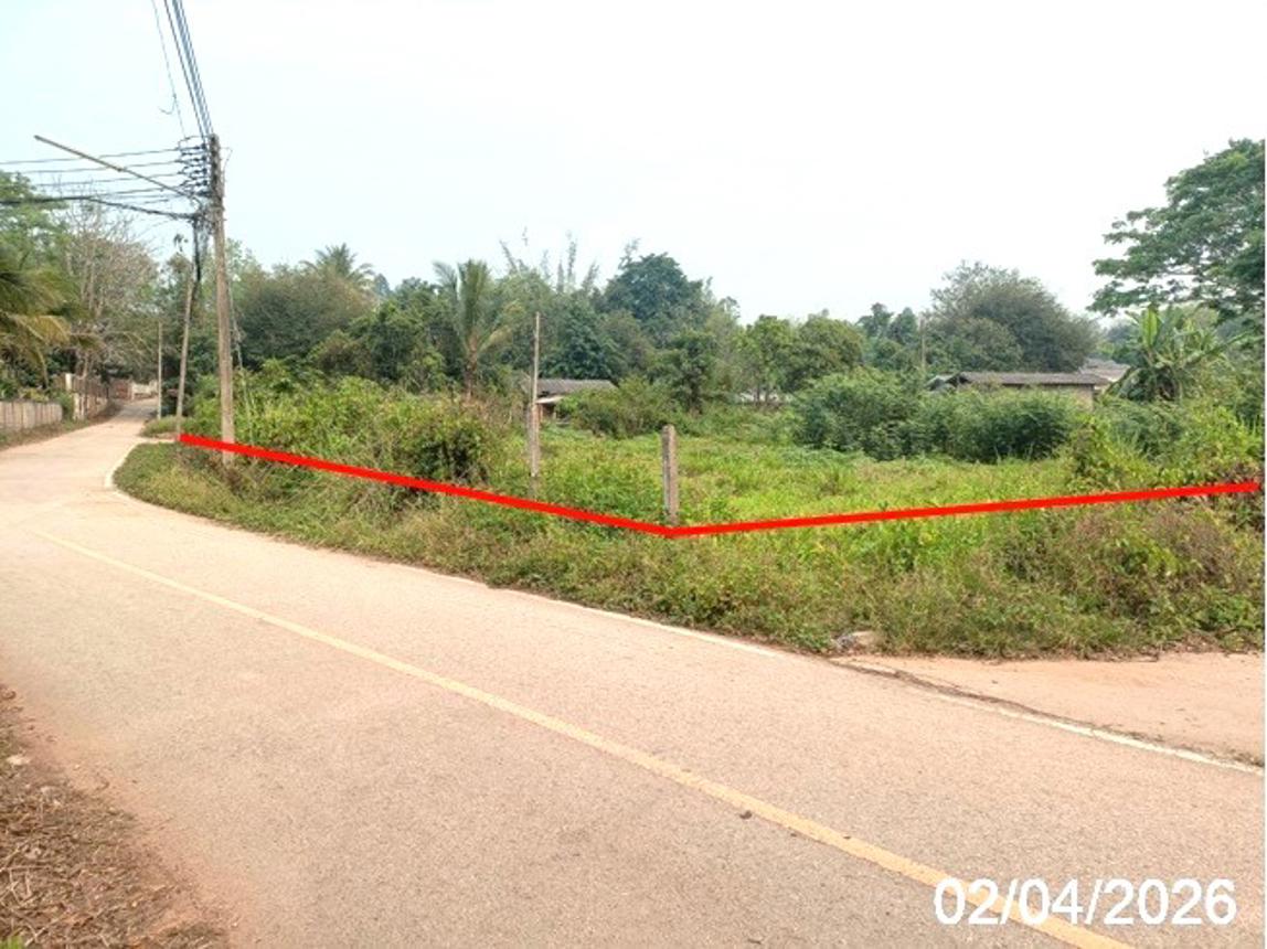 ที่ดินว่างเปล่า หาดใหญ่ เชียงใหม่