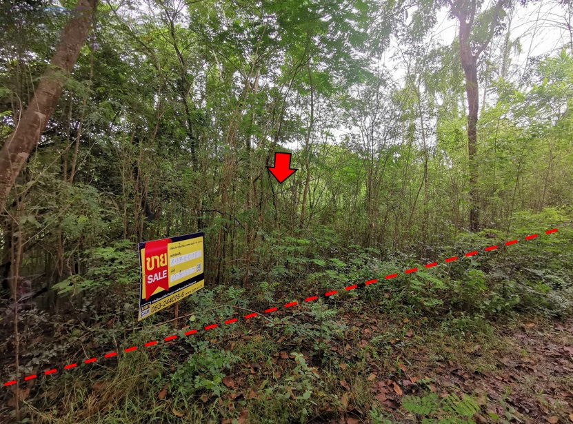 Empty land, Inthanon Highland Project, Chiang Mai