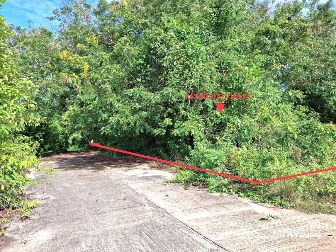 Vacant Land in Khun Khunut, Phatthalung Province