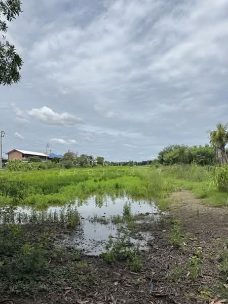 Land on Bangbuathong-Suphanburi Road, Nonthaburi