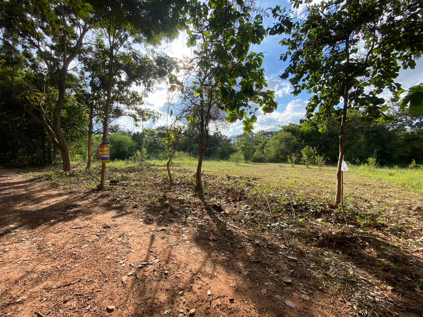 1-Plot of Vacant Land