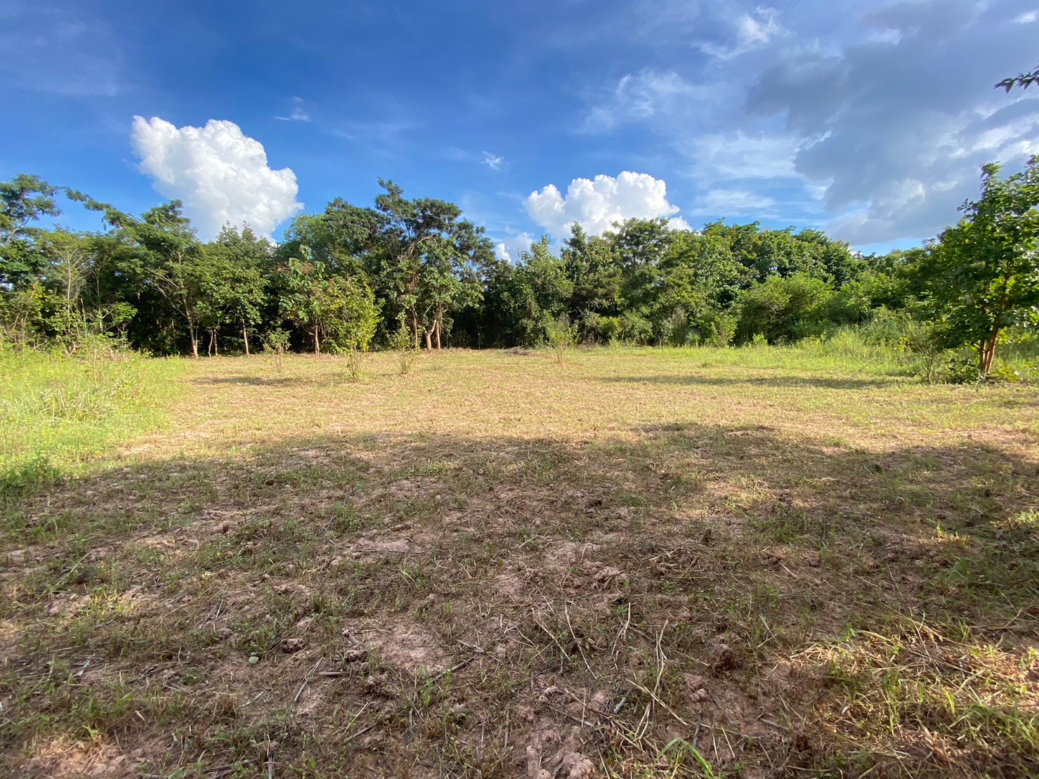 1-Plot of Vacant Land