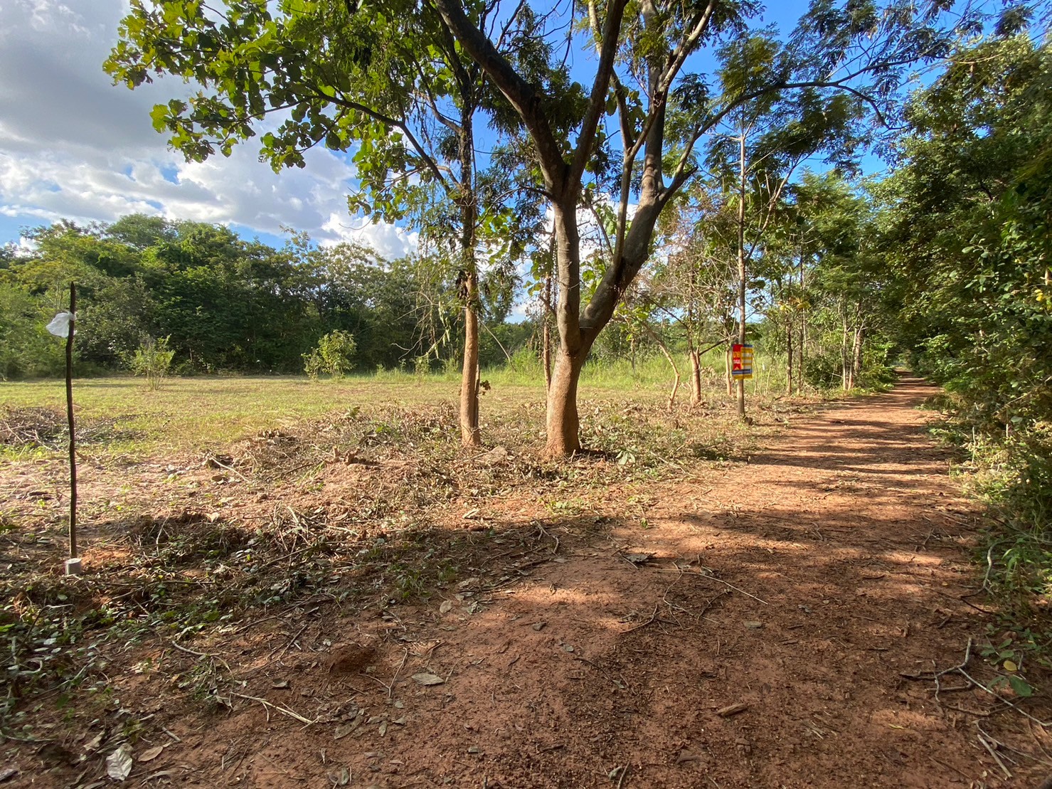 1-Plot of Vacant Land