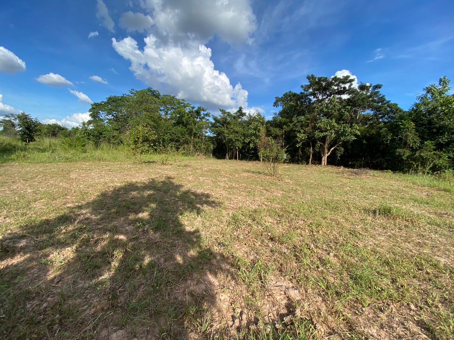 1-Plot of Vacant Land