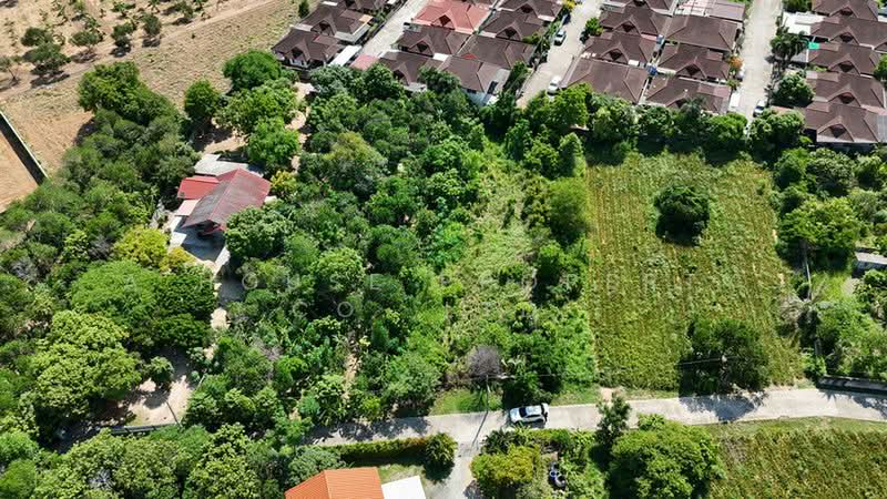 Land for sale in Na Phrao, Sriracha, near Bang Phra Reservoir., Chon Buri (Pattaya)