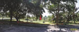 ที่ดินเปล่า เมืองเพชรบุรี จังหวัดเพชรบุรี