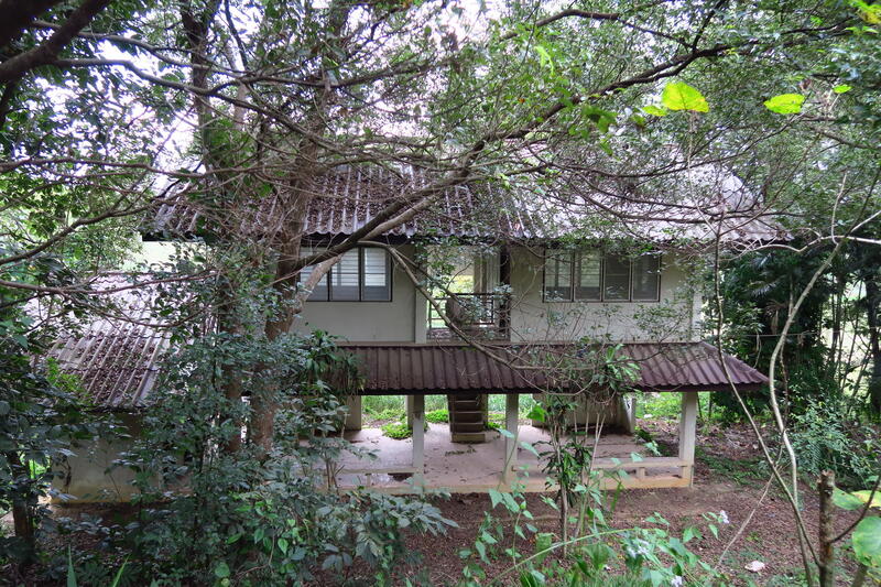 ที่ดินเปล่า, Chiang Rai