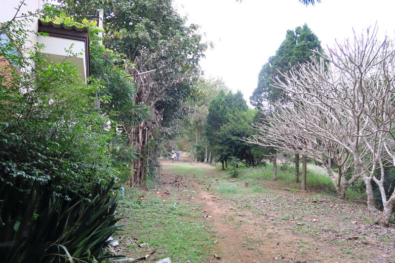 ที่ดินเปล่า, Chiang Rai