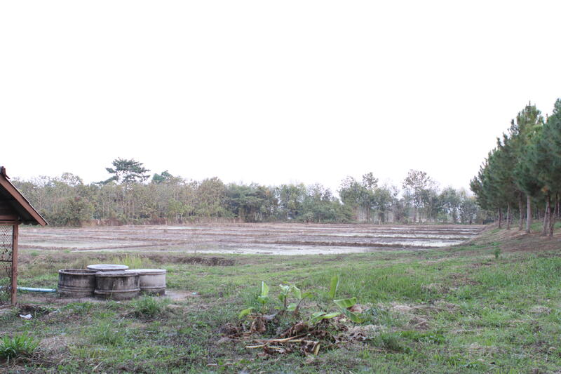 ที่ดินเปล่า, Chiang Rai