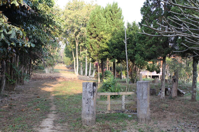 ที่ดินเปล่า, Chiang Rai