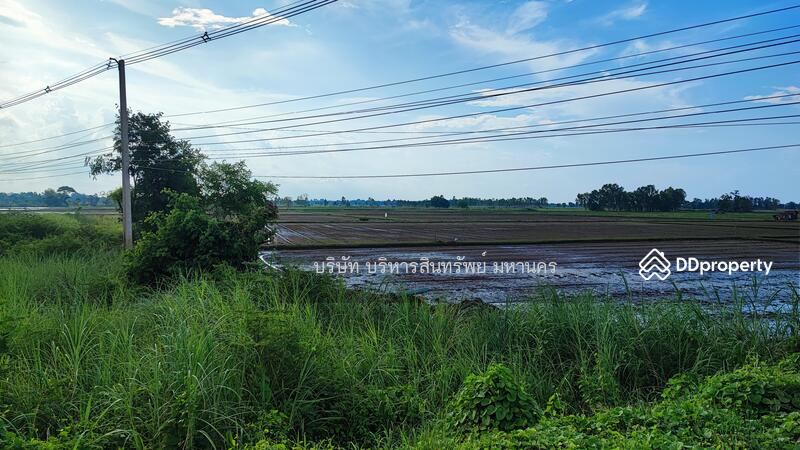 Land Ban Na Wachirabarami Phichit, Phichit