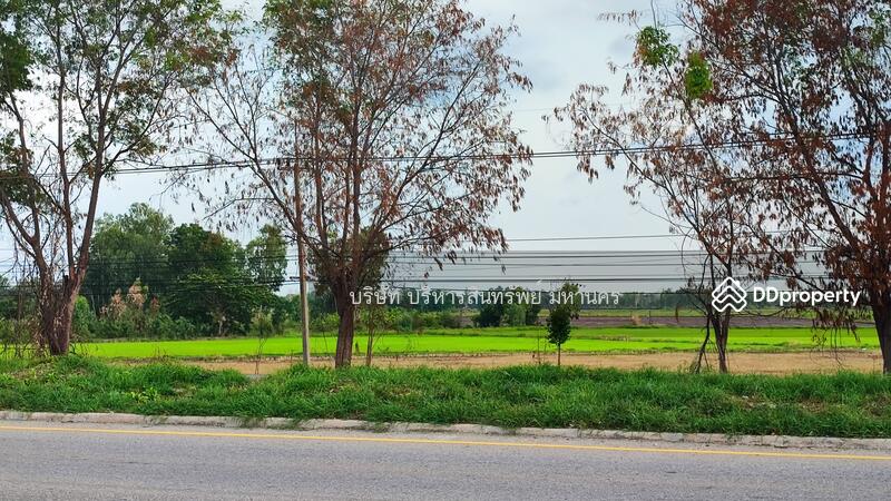 Land Ban Na Wachirabarami Phichit, Phichit
