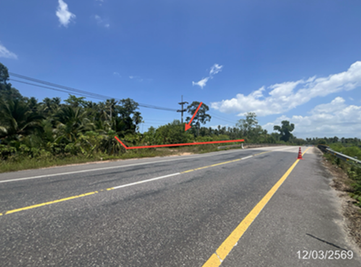 Vacant Land for Sale in Surat Thani City, Surat Thani Province