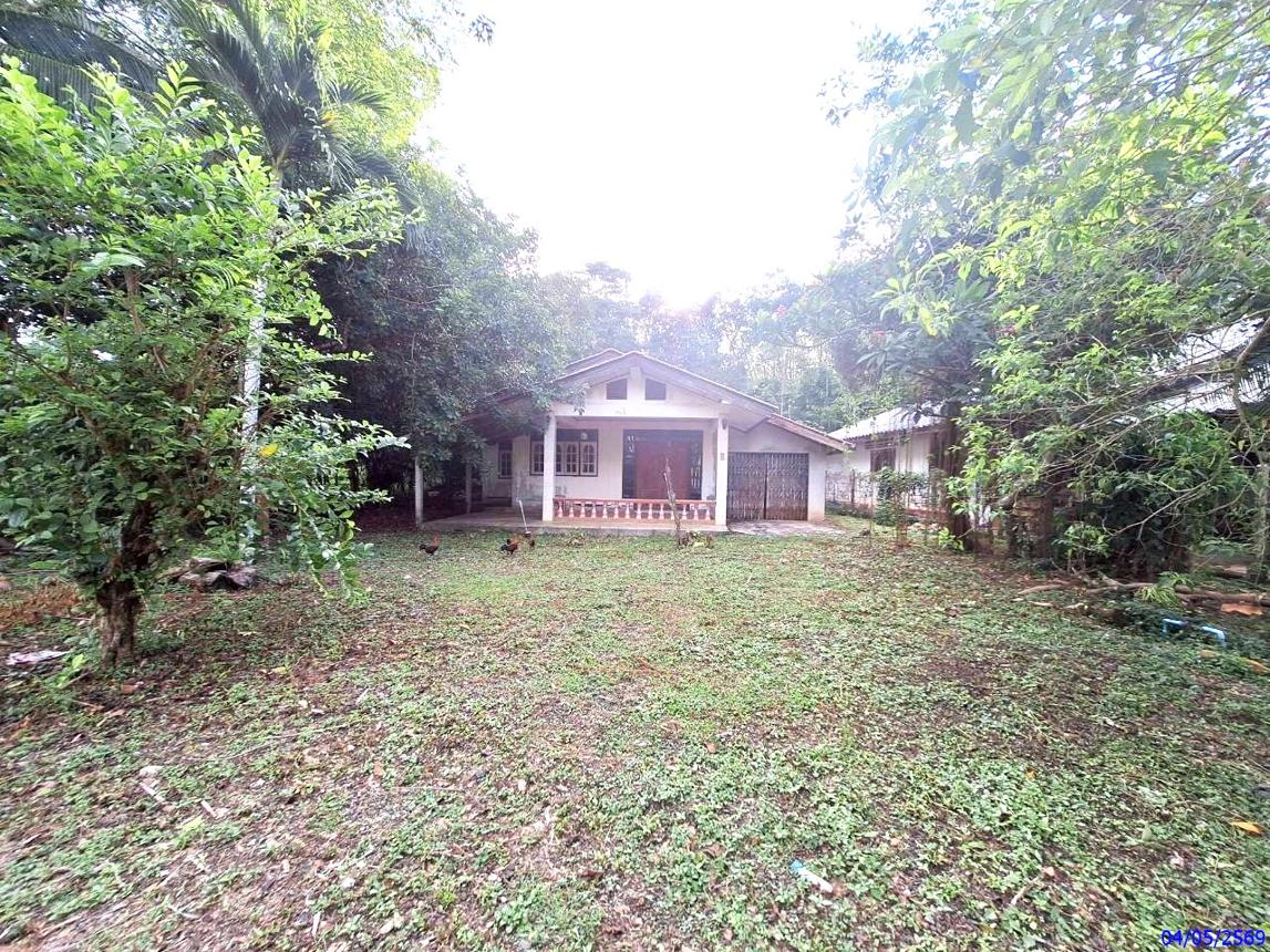 บ้านเดี่ยว ที่ดินสวยในเมืองตรัง