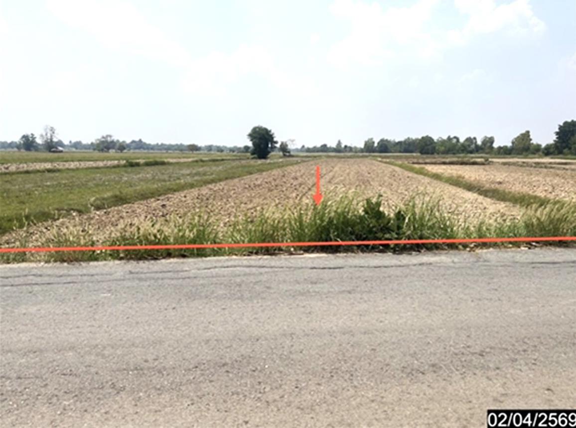 Vacant Land in Nong Kung Si, Kalasin