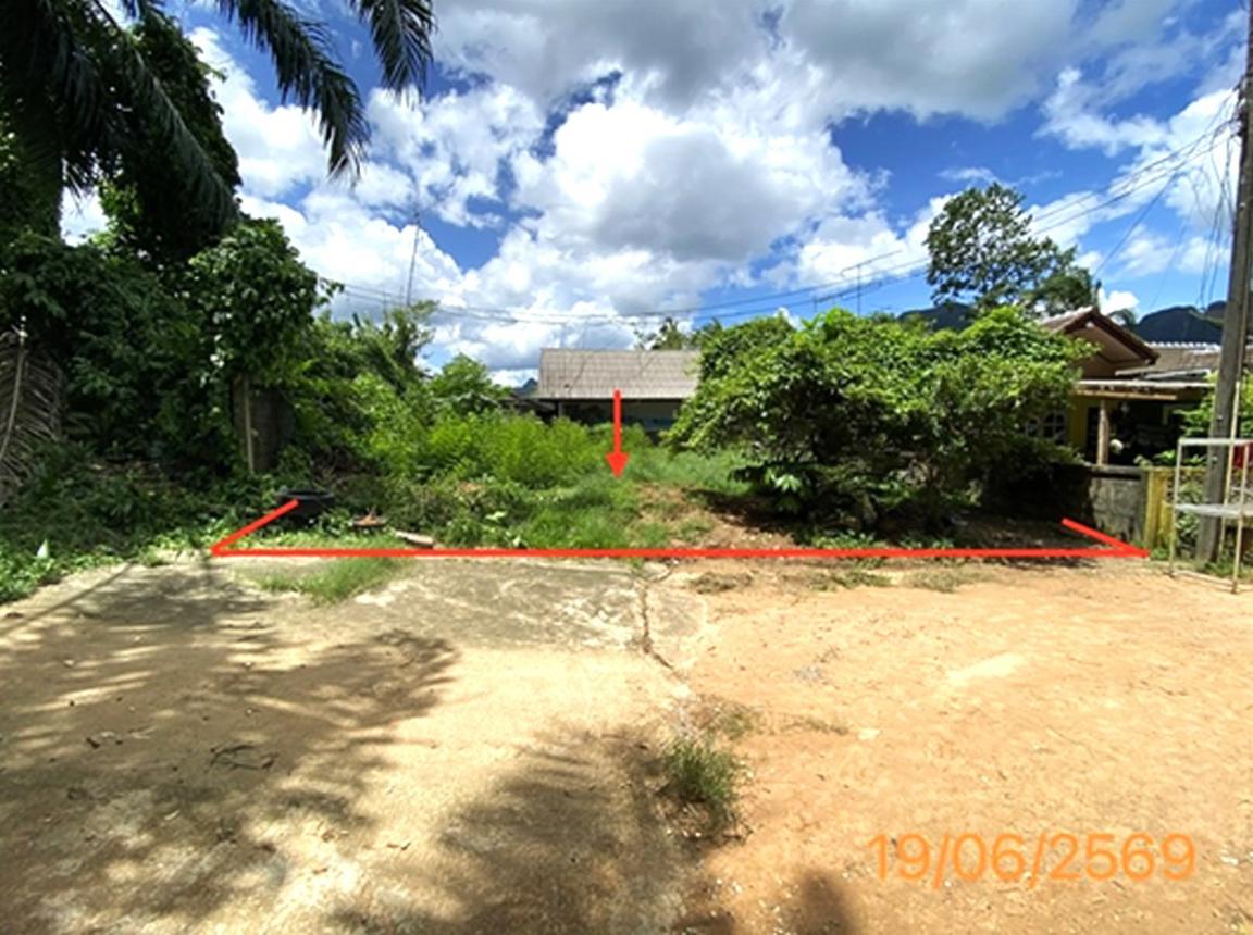 ที่ดินว่างเปล่า เมืองพังงา พังงา