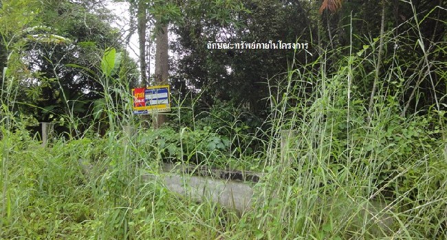 Empty land, Suntornphu Project, Garden Home in Rayong