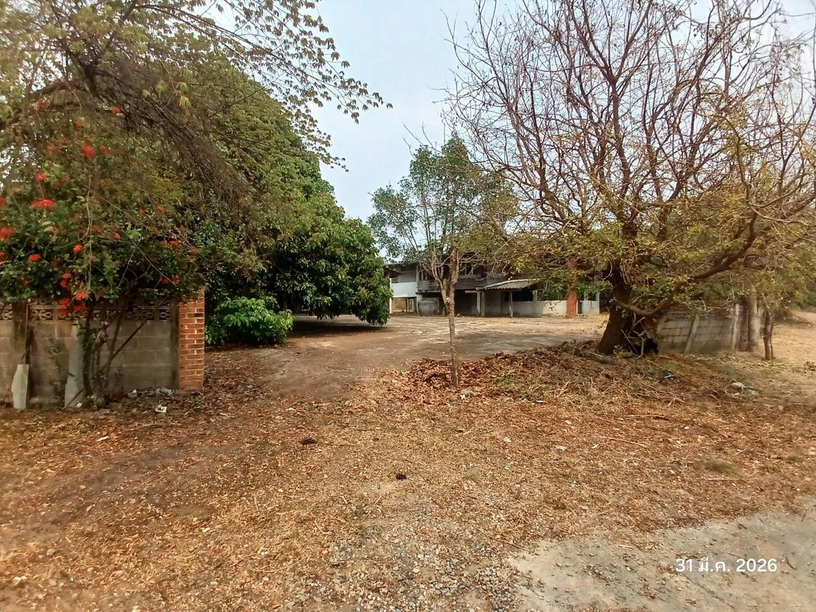 Single House in Li, Lamphun