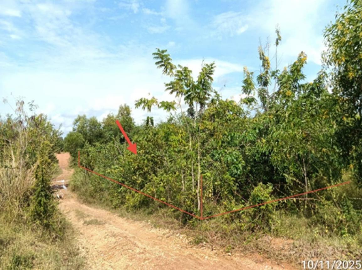 Empty land for sale in Phrae, Thailand.