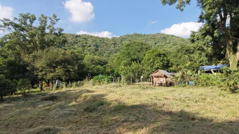 Khao Yai, Pak Chong, Phaya Yen, Nakhon Ratchasima