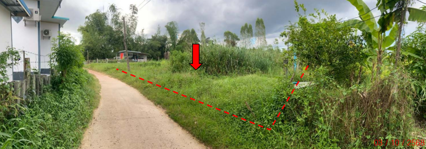 Vacant land with a deer farm in Khon Kaen.