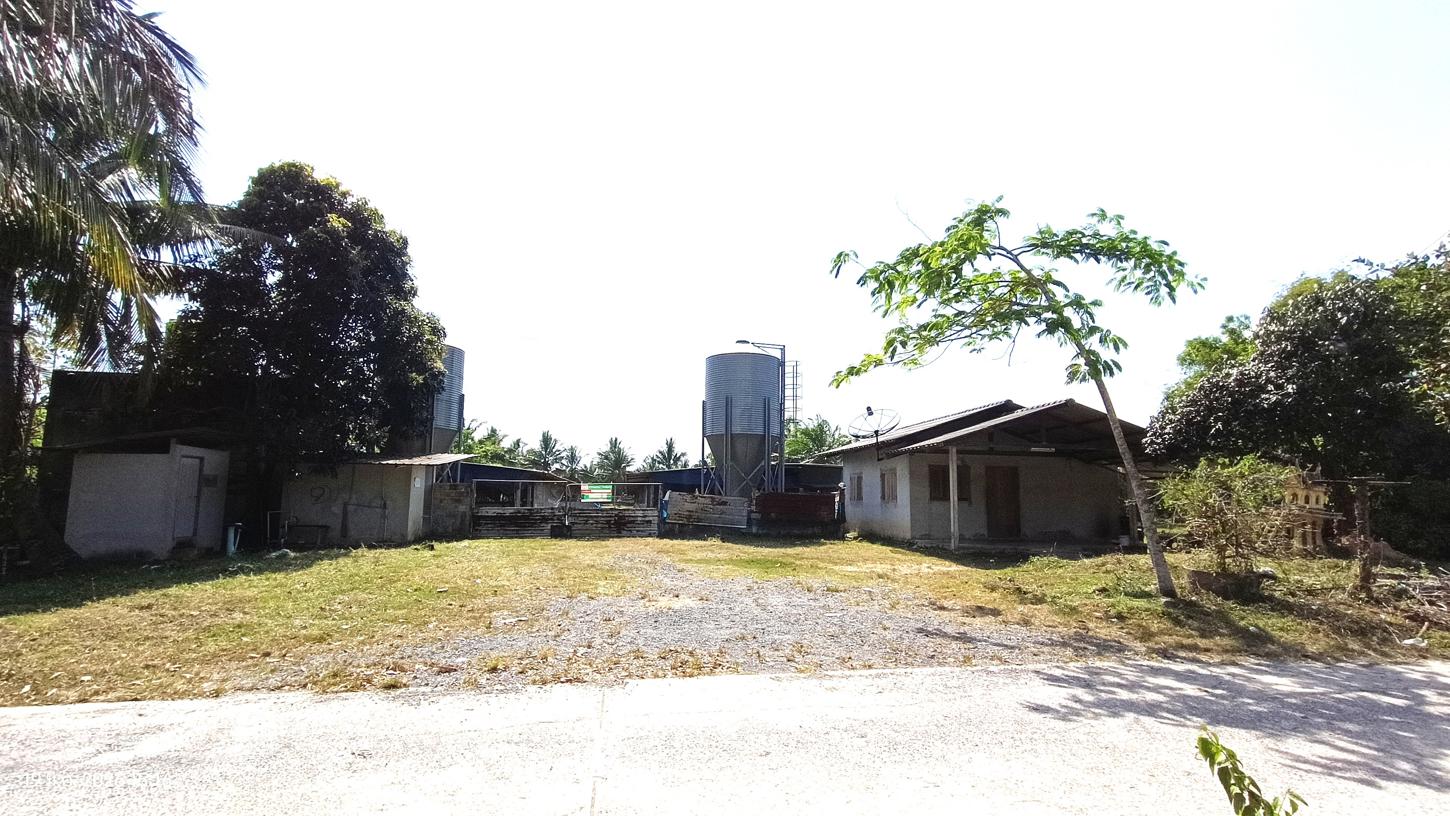 Farm in Patthalung, Patthalung Province