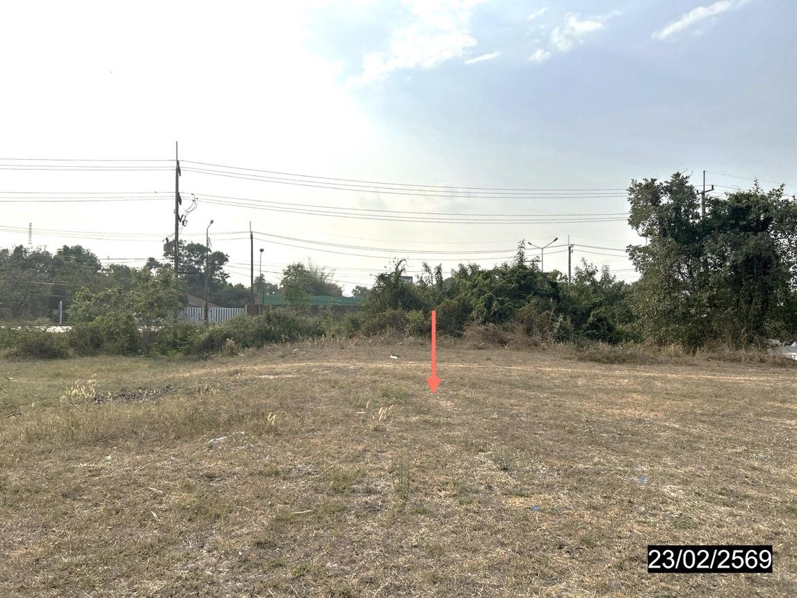 Empty Land for Sale in Yasothon, Yasothon