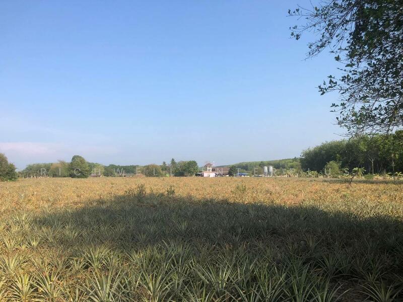 Land for sale in Phanat Nikhom, 12 rai, 70 meters wide, next to Soi 11, Nikhom Phatthana District, Rayong