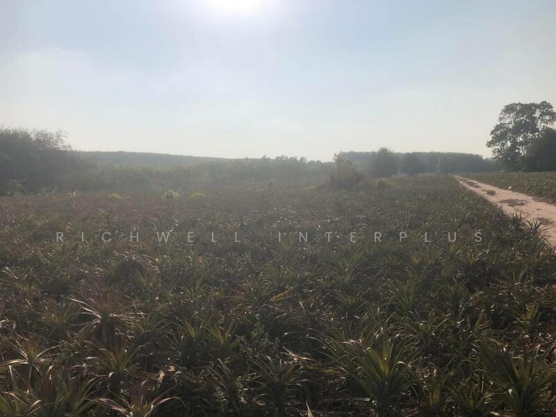 Land for sale in Phanat Nikhom, 12 rai, 70 meters wide, next to Soi 11, Nikhom Phatthana District, Rayong