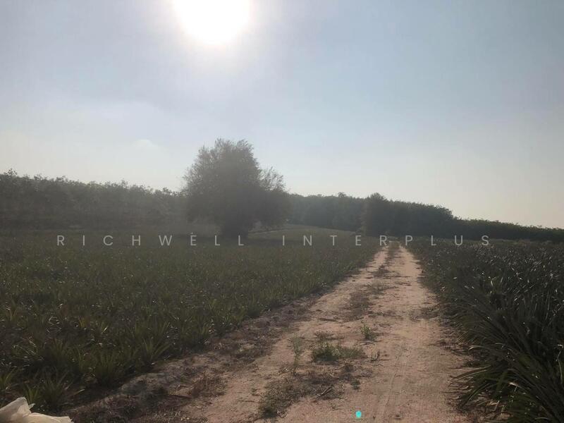 Land for sale in Phanat Nikhom, 12 rai, 70 meters wide, next to Soi 11, Nikhom Phatthana District, Rayong